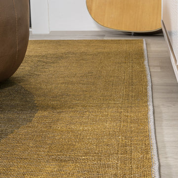 Demie Minimalist Graphic Circle Machine-washable Area Rug